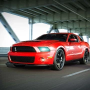 Ford Shelby Mustang Ford Shelby Mustang