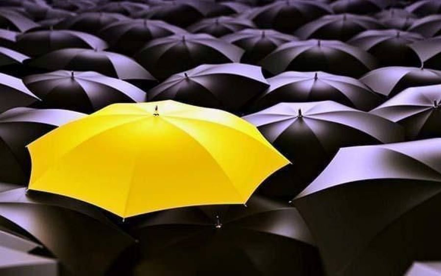 Why Choose 3DAS for your renderings