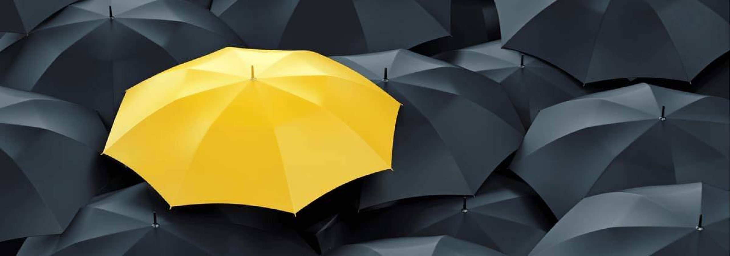 Why Choose 3DAS for your rendering needs